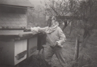 Otec Vladimír Rychlík při včelaření, 70. léta minulého století
