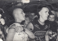 Jana Bečková Petrovická, 1980s