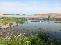 Sludge lagoon of the former uranium ore processing plant, viewed from Mydlovary; 2025