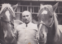 Witness's father Józef Zbierajewski with horses, 1940s