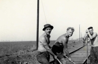 Father of the witness (in the middle) a labourer at the construction train, 1955