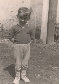 Vladimír Havlík, 1963