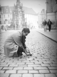 Experimental flower, 1981