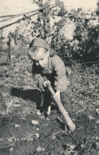 Jáchym Jaroslav Šimek, Nížkov