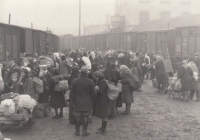 Deportation of Germans from the Nový Jičín region