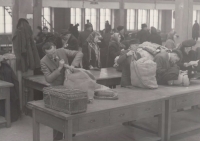 Deportation of Germans from the Nový Jičín region