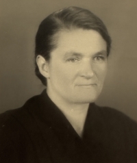 Josef Pavlík's mother