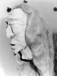 Fotografie z výstavy Renaty Bretové a happeningu v Malechově, 20. srpna 1983