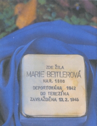 Stolperstein for witness's grandmother Marie Breitlerová, installed in front of the house where she lived at Polní 129 in Trutnov in 2023