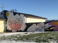 maľby na stenách, ktoré vytvorili dobrovoľníci a deti z Kasárenskej