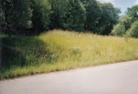 The lot where the Holub family's house once stood, Doupov