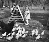 Jitka Havránková's sister Alena in the poultry enclosure within the mill