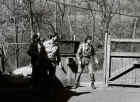 David Aust Vedral, 1980s