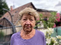 Jindřiška Šulcová, 2025