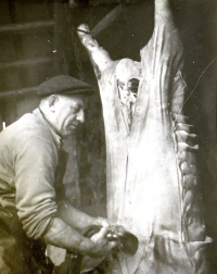 Daddy at the Tůma family's pig killing party, undated