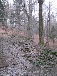 Pole nad obcí Hraničná (rodné obce Erwina Riegra) byly kdysi položeny mnohem výš než dnes-svědčí o tom valy kamenů hluboko v lesích - únor 2011