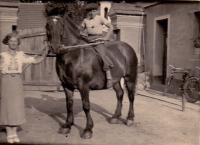 Hostenice -Brožíkovi