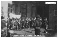 Jičínská vlčata na Jamboree slovanských skautů v roce 1931: výdej stravy-snad oběd (soukromý archiv Jana Vally)