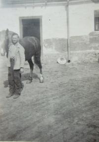 Hugo Drásal at Hrutka Farm in Lhota in 1947
