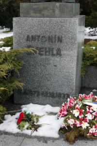 Statue of A. Švehla - detail