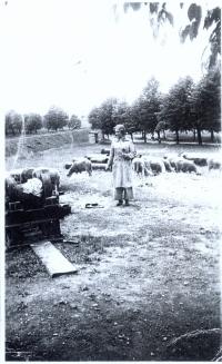 Doris Grozdanovičová v Terezíně rok 1942