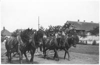 Práce na poli před válkou