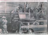 Escape with a lorry, Pornóapáti-Horvátlövő, June 1966
