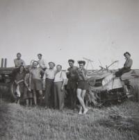 Harvest in 1947
