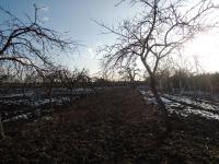 Za plotem zahrady byl stoh pana Černého