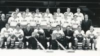 Jan Havel, 1st on the right side on top, National team, 1971, Bern/Geneva, World Eishockey Championship