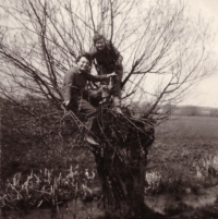 Volunteer Builders' Brigade, Suš, 1955. Zděnka sitting on a willow tree