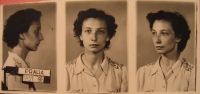 Fotografie z vězení, 1953