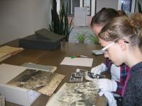 Studying in the archive