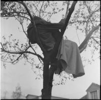  Petr Štembera – Spaní na stromě, 1975, záznam z vystoupení, dobová fotografie