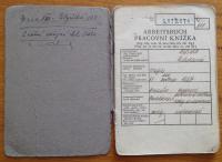 Protectorate work card 2