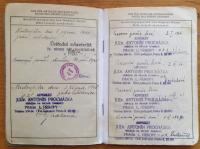 Protectorate work card 6