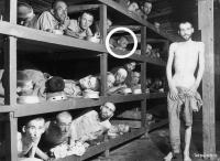 Naftali Fürst na slávnej fotke po oslobodení v tábore Buchenwald