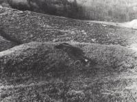 Cítěn čerstvou trávou, 1976