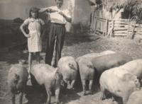 Mira and Franja Poznik with piglets