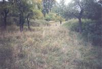 The place where the Prosička village used to be