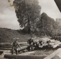 Josef Hocz at work at the sawmill in Jeseník