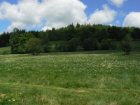 Místo, kde stál tábor Mariánská II.