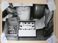 fotografie z vyšetřování