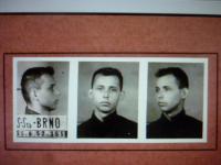 Ž1 - Policejní foto před začátkem výslechů v Příčné ulici v Brně (z 25. 8. 1952)